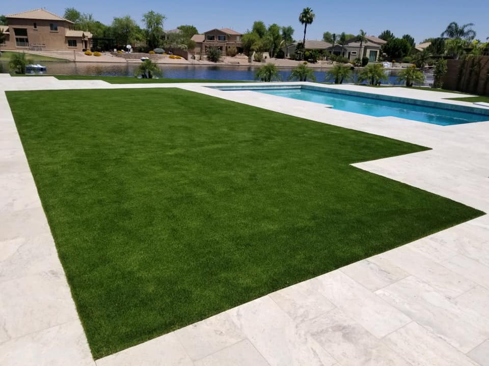 Pet Friendly Backyard Grass Alternatives For Dogs Celebrity Greens